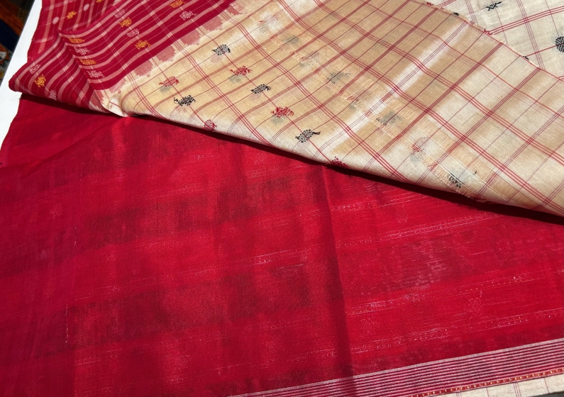 Intricate turtle butis motifs on body n border adorned with traditional ikat Aanchal Bapta Saree 